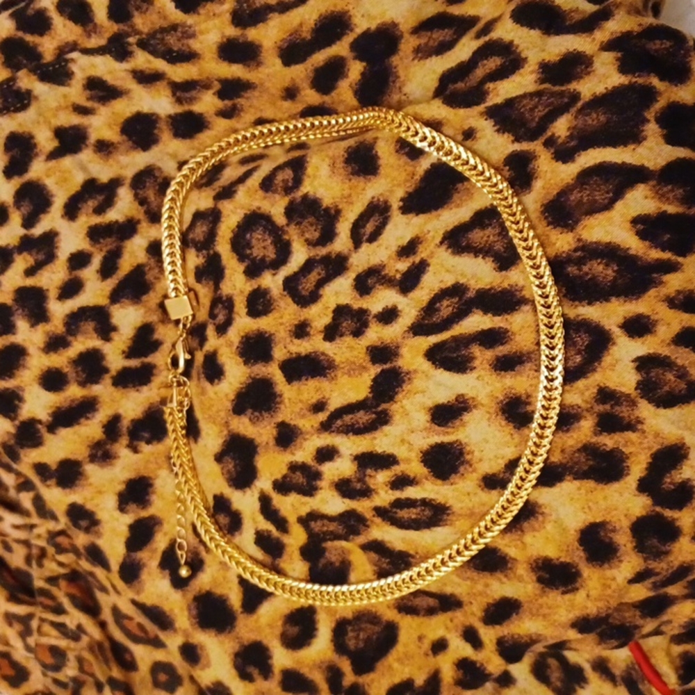NWOT Chain choker